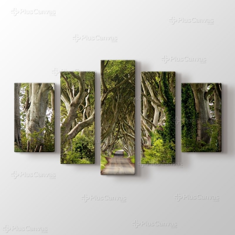 Orman Yolu görseli.