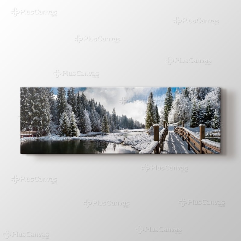 Carpathians görseli.