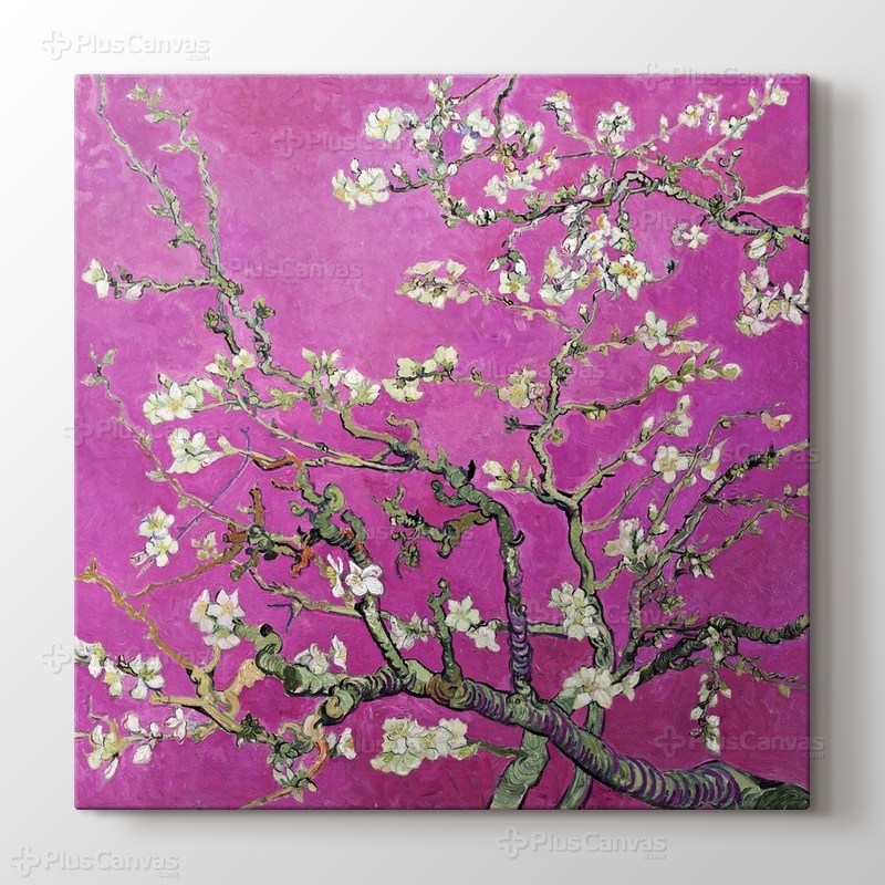 Çiçek Açan Badem Ağacı görseli.