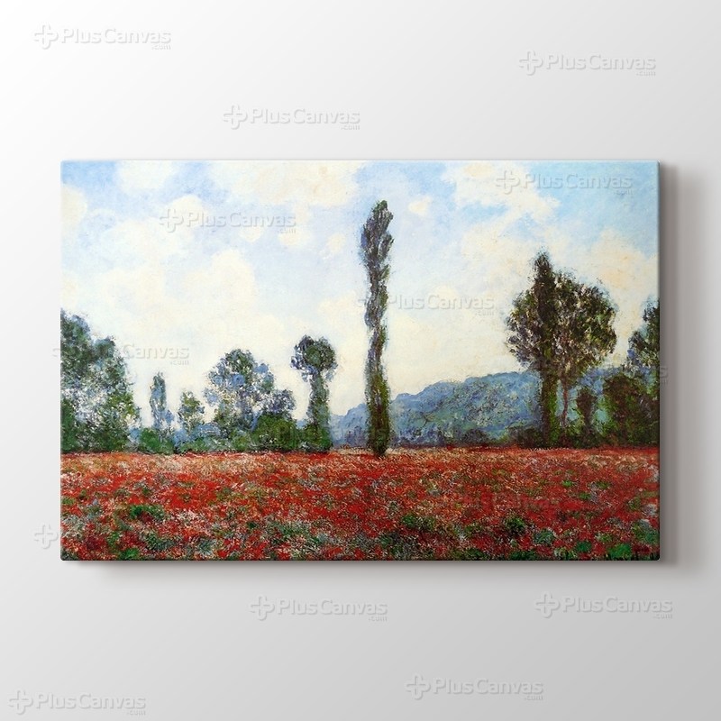 Campo di Papaveri görseli.