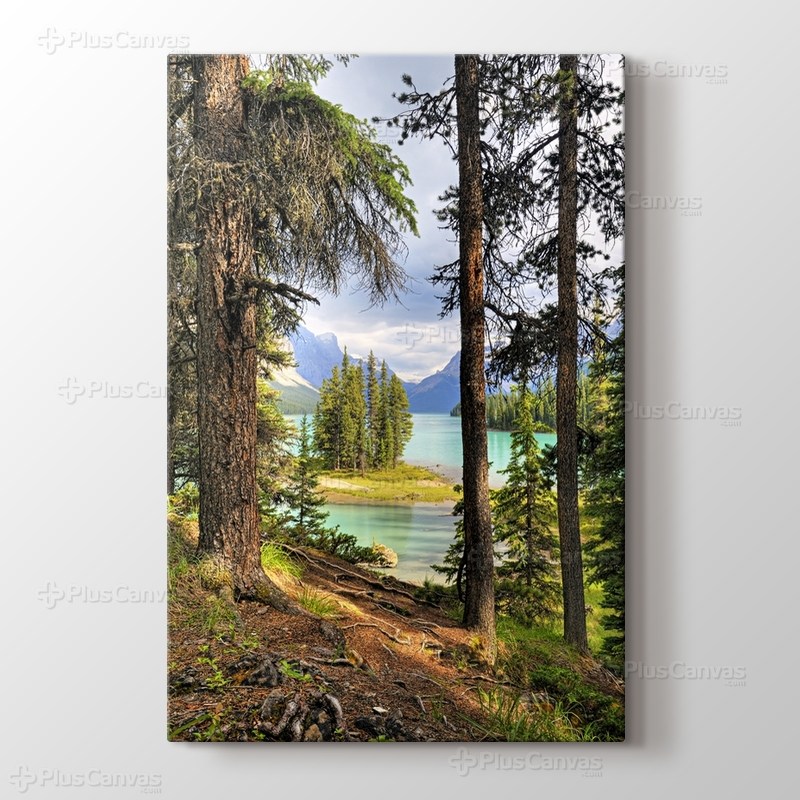 Lake View from Hill görseli.