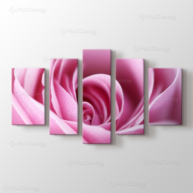 CloseUp Pink Rose görseli.