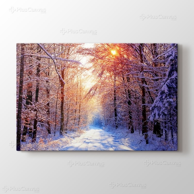 Snowy Road görseli.