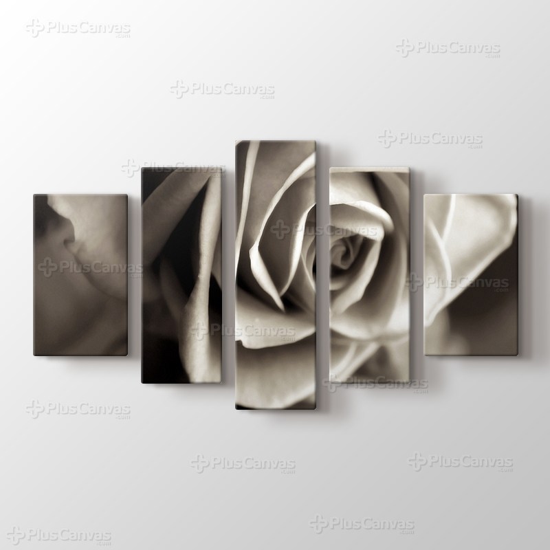 Sephia Flower Close-Up görseli.