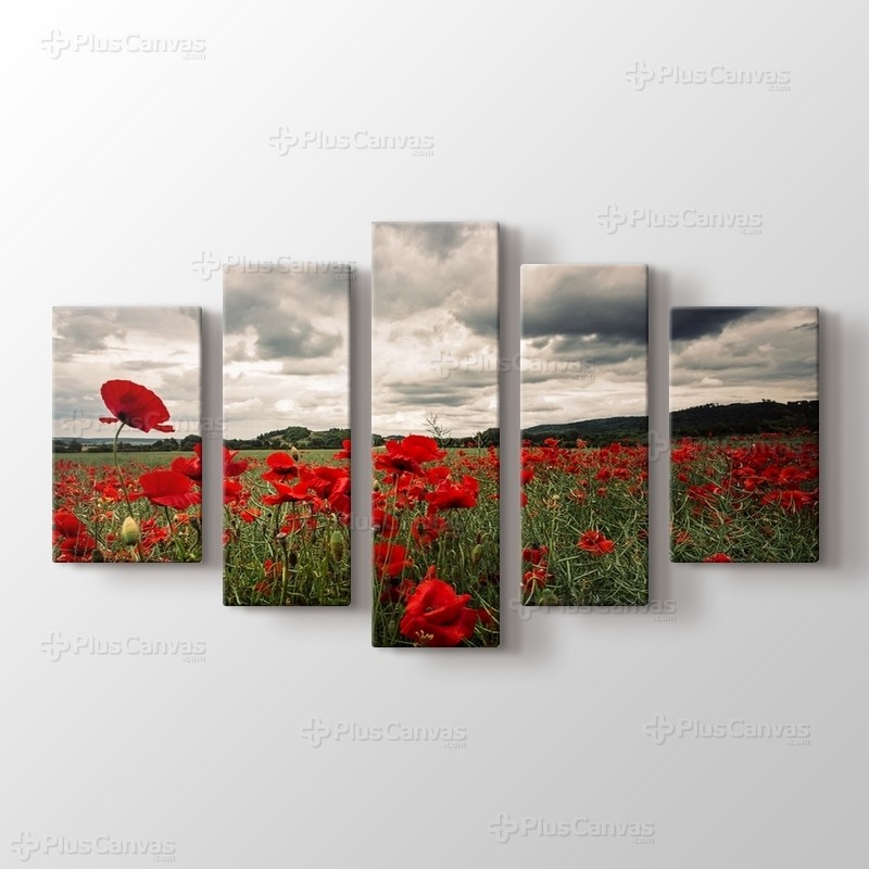 Poppy Field görseli.