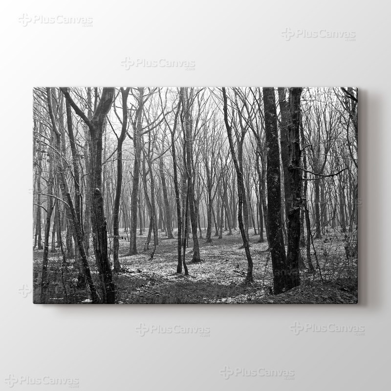 Spring Trees görseli.