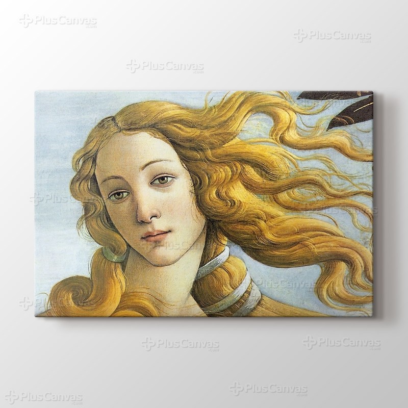 The Birth of Venus görseli.