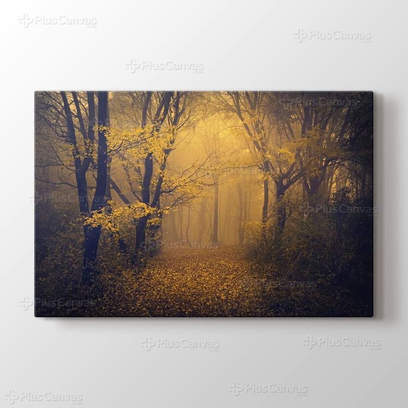 Sonbaharda sisli orman patikası görseli.