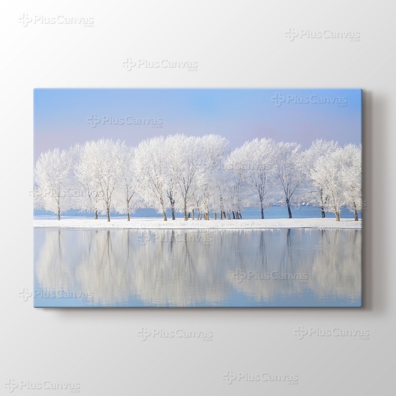 Bembeyaz Kış Ağaçları görseli.