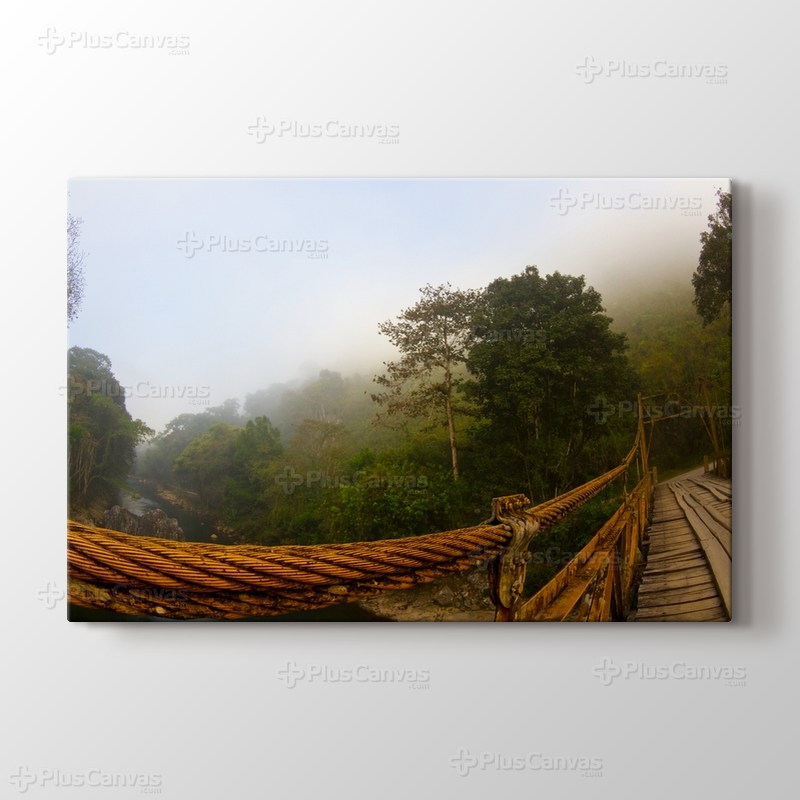 Ormanın üstüne Ahşap Köprü görseli.