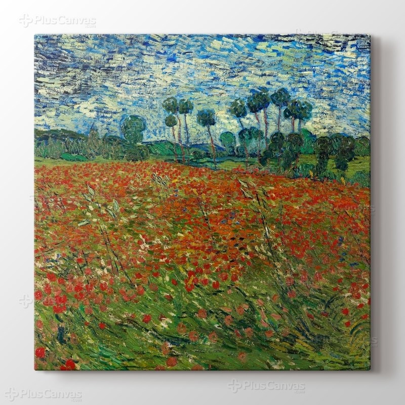 Poppy Field görseli.