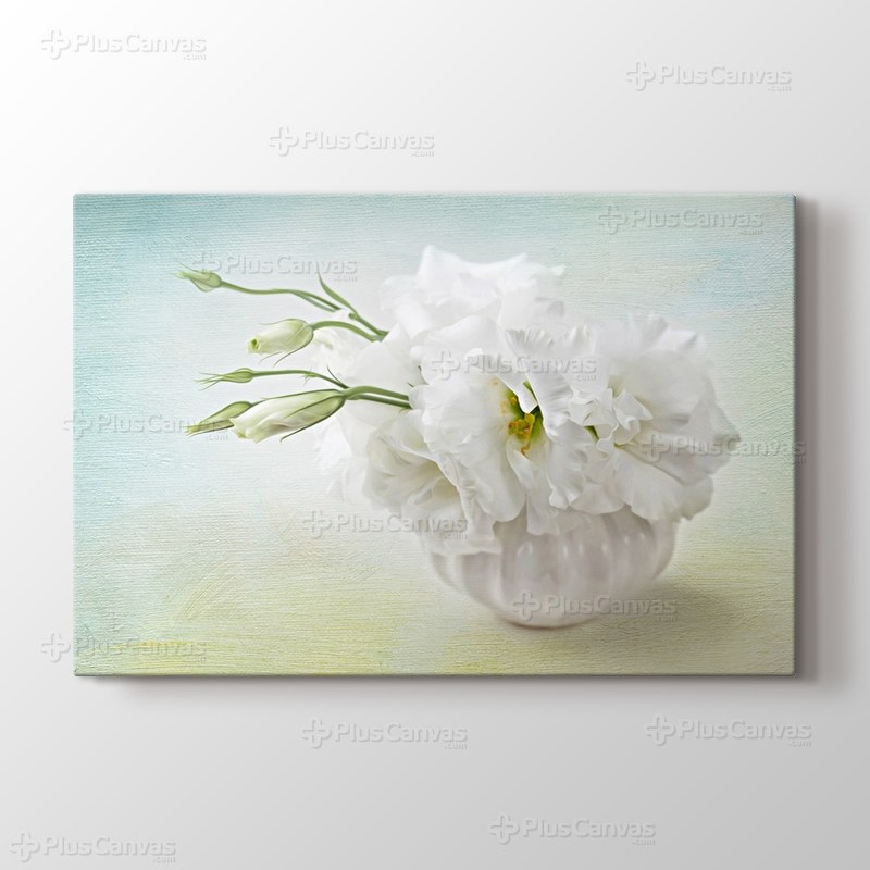 Beyaz Çiçekler görseli.