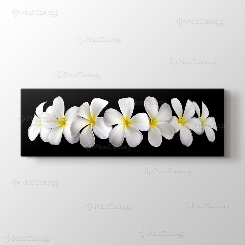 Frangipanies Çiçekleri görseli.