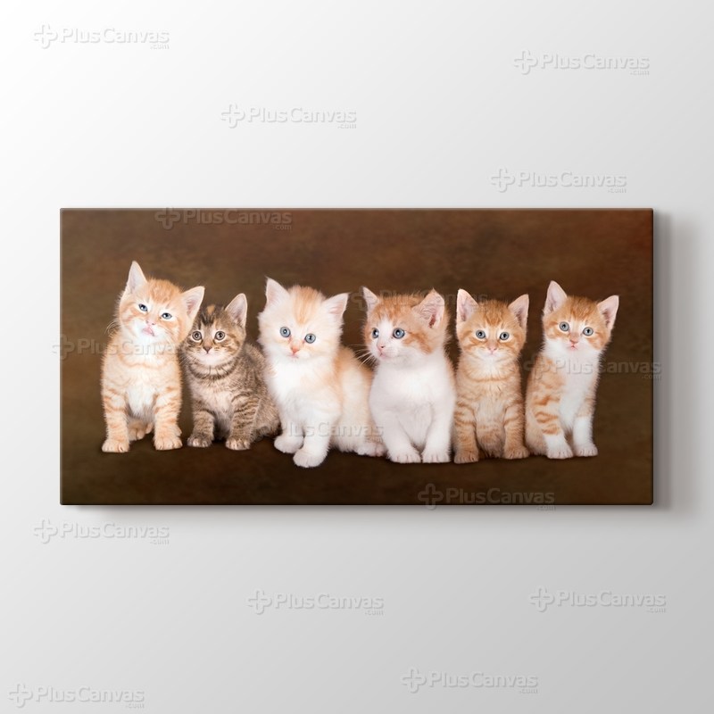 Kedicikler görseli.