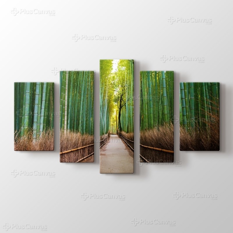 Bamboo Forest in Kyoto Japan görseli.
