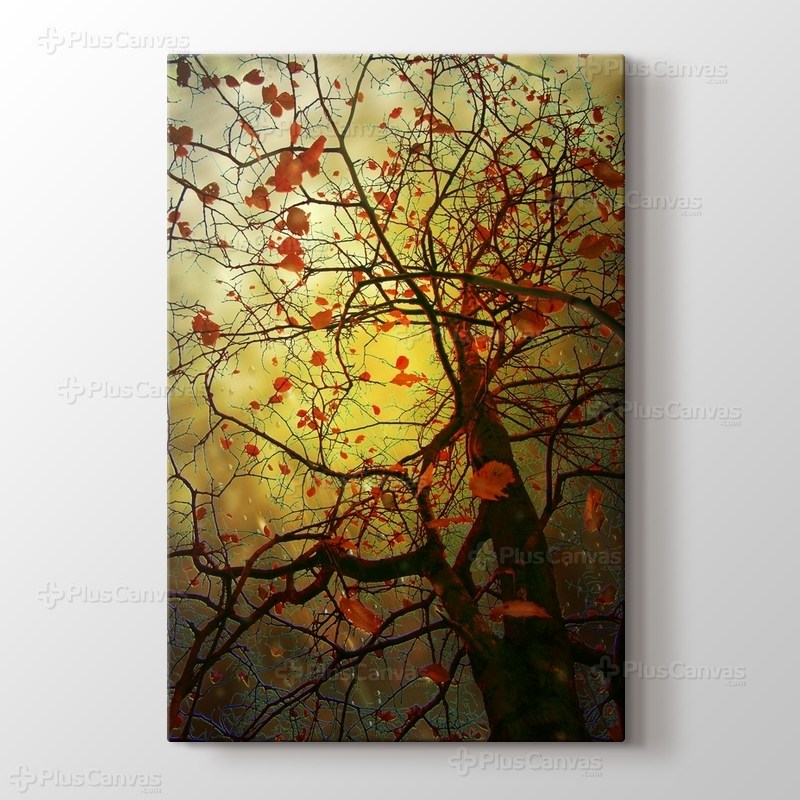 Tree Viole görseli.