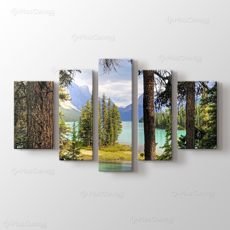 Lake View from Hill görseli.