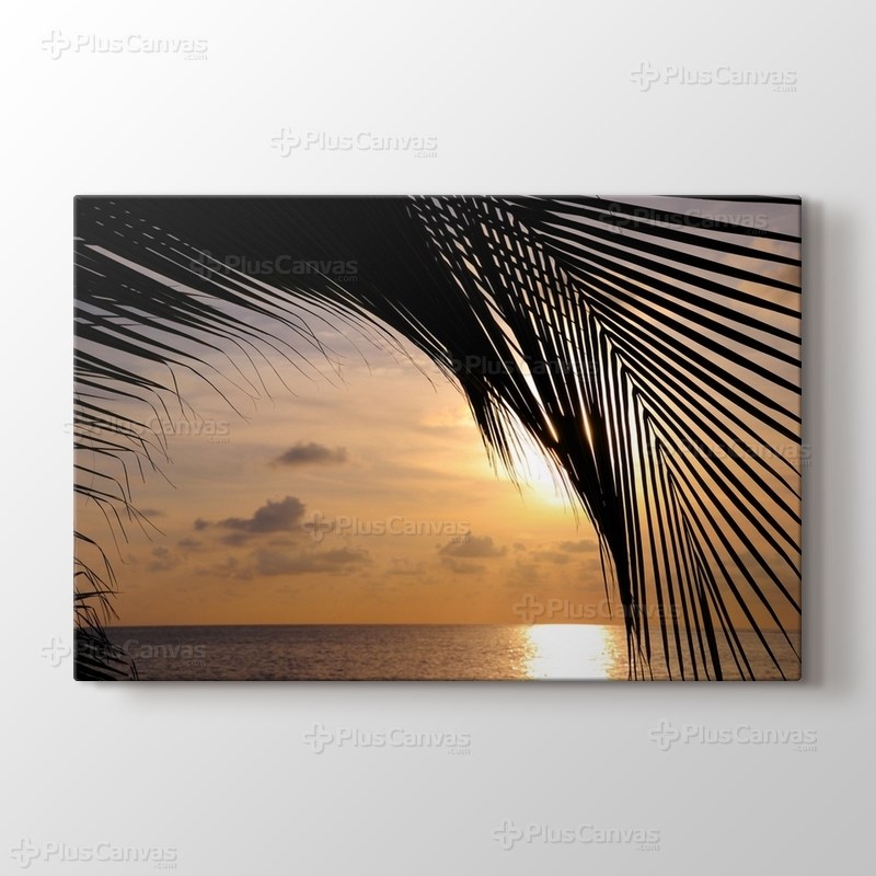 Sunset and a Palm Tree görseli.