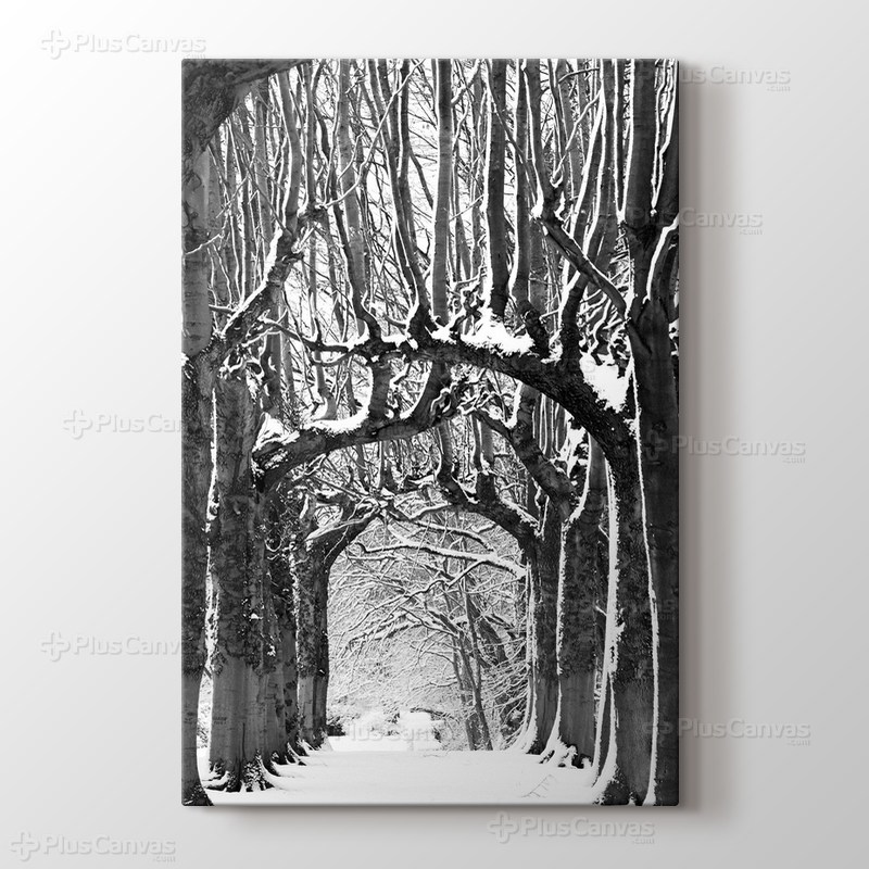 Karlı Yol görseli.