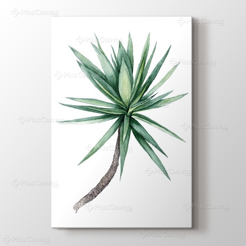 Watercolor Yucca Tree görseli.