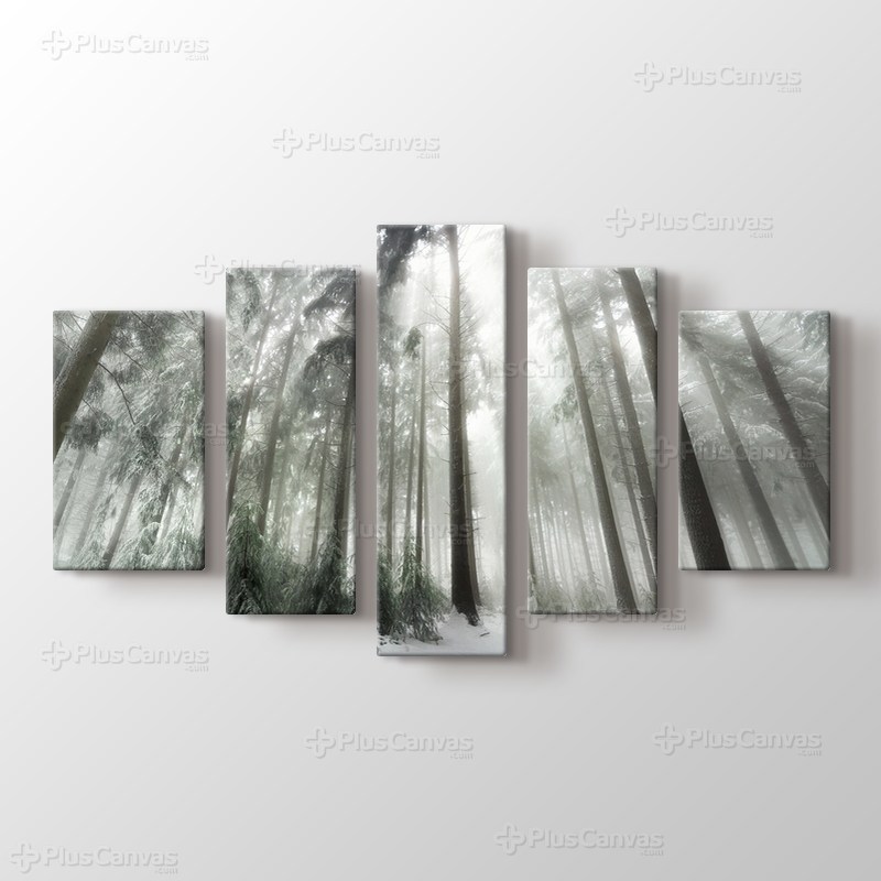 Winter Forest görseli.