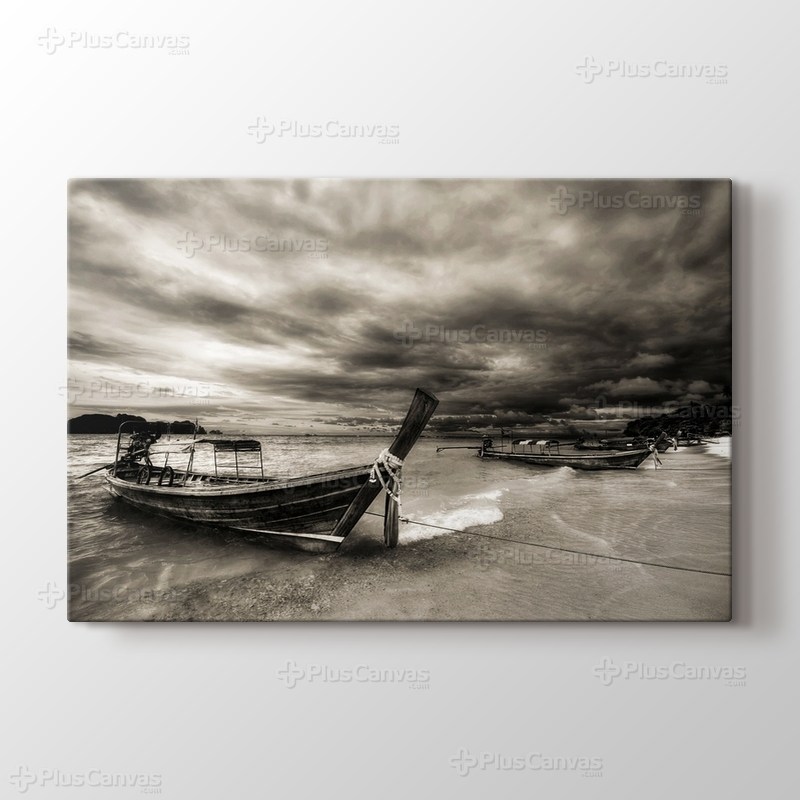 Boats on Coast görseli.