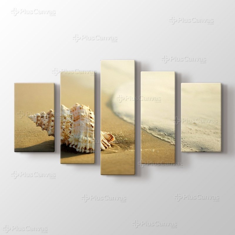 Seashell on the Beach görseli.