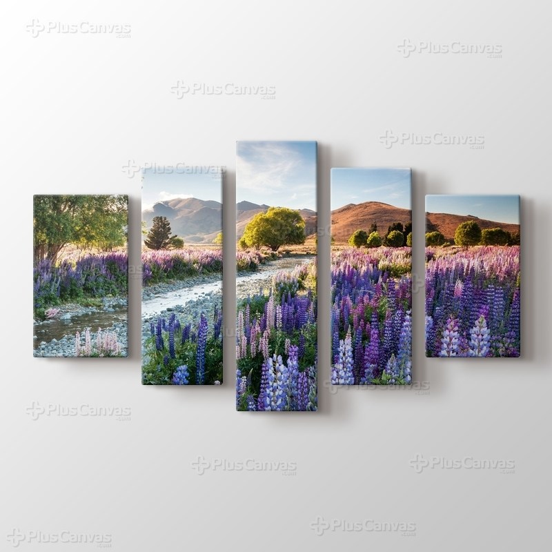 New Zealand görseli.