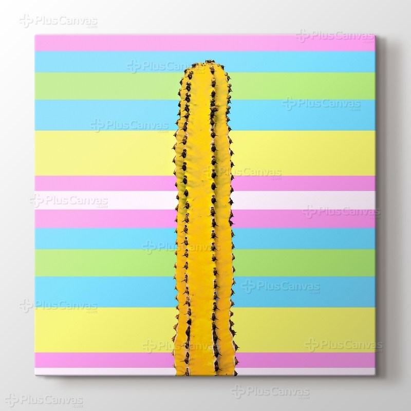 Sarı Kaktüs görseli.