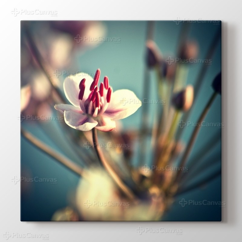 İlkbahar Çiçekleri görseli.