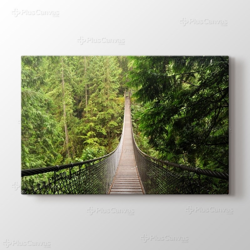 Orman içinde Köprü görseli.