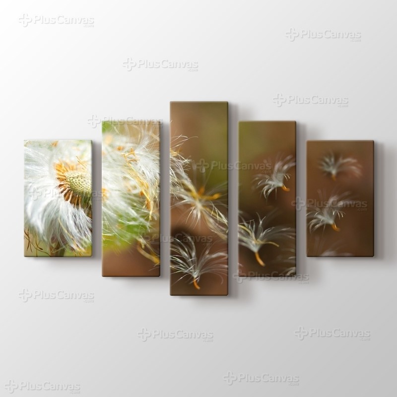 Karahindiba görseli.