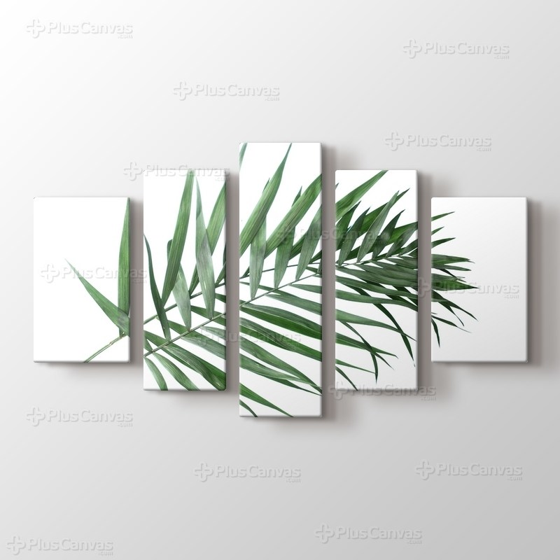 Beautiful Palm Leaves görseli.