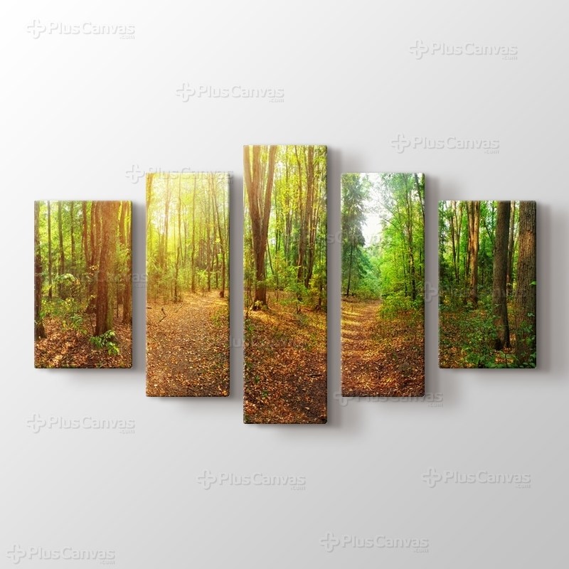 Güneşli bir Günde Orman Panorama görseli.