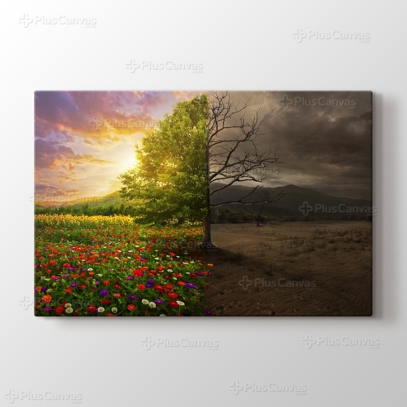 Life and Death görseli.