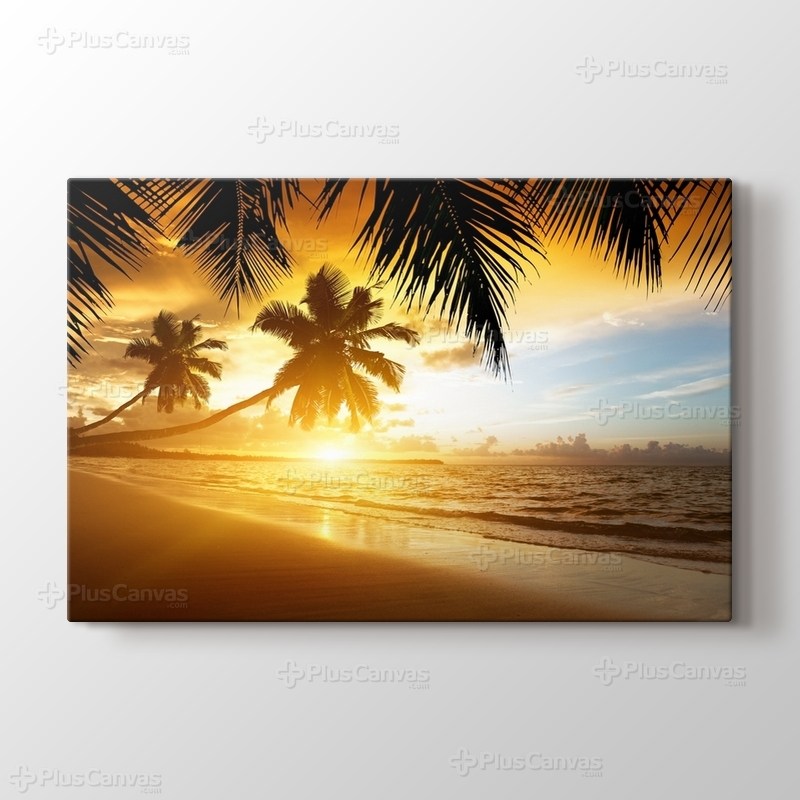 Günbatımı Palmiyeler görseli.