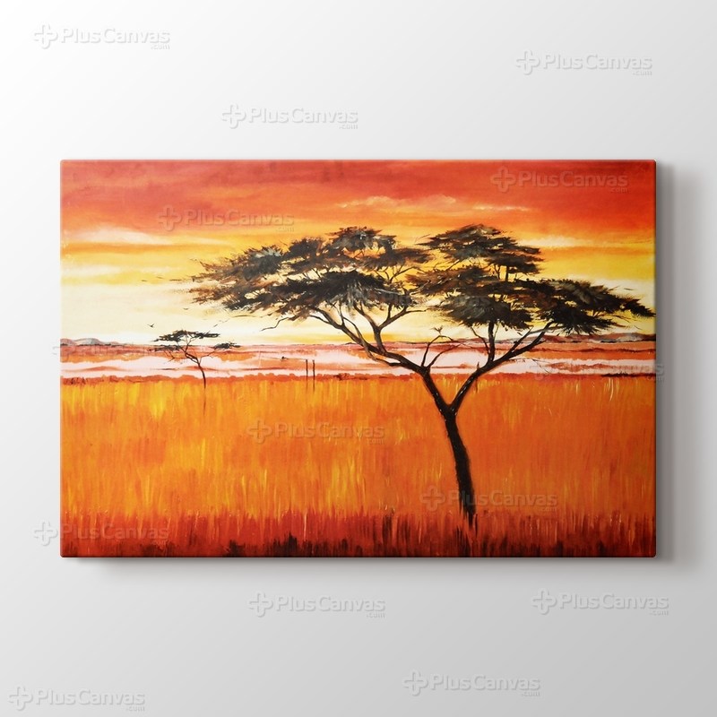 Afrika Ağaç görseli.