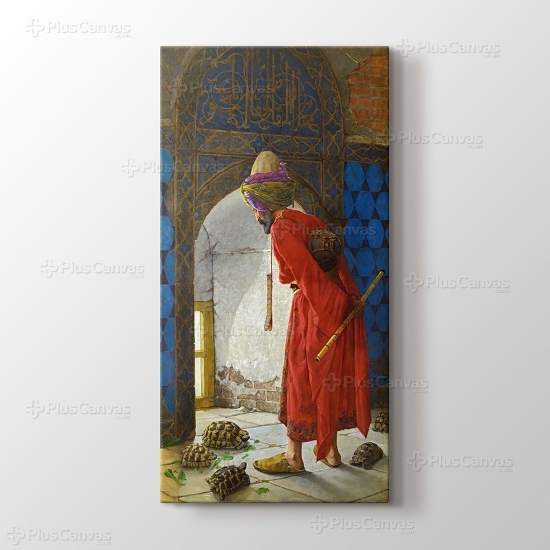 Kaplumbağa Terbiyecisi görseli.