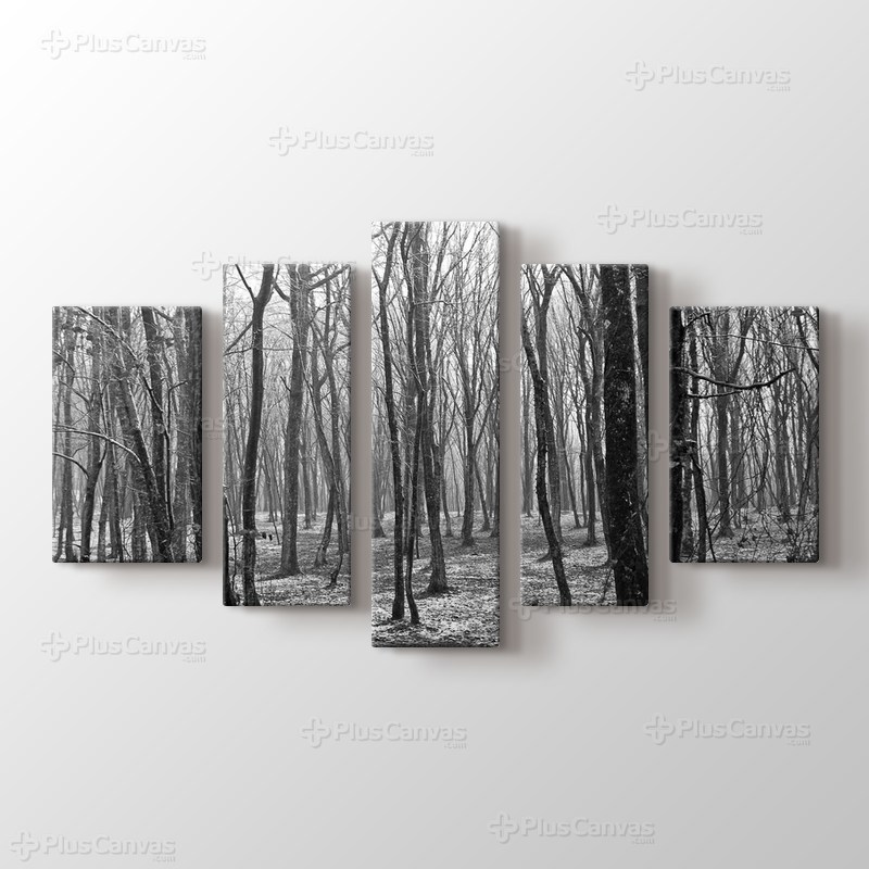 Spring Trees görseli.