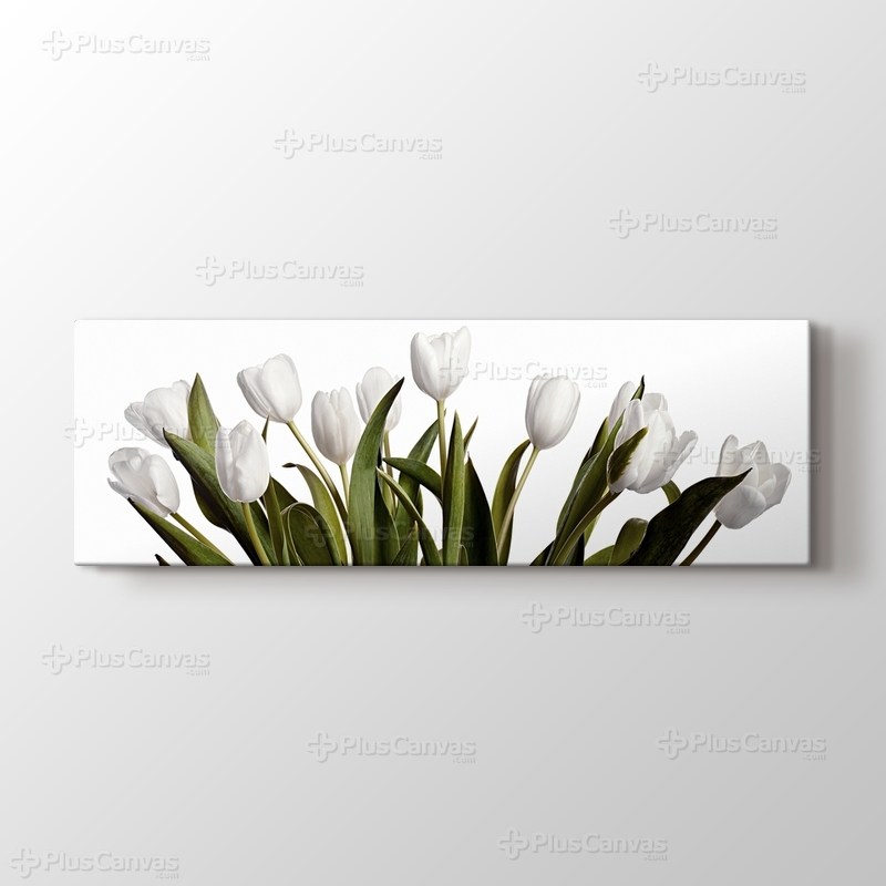 Beyaz Üstünde Bahar Laleleri görseli.