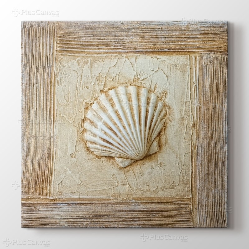 Deniz Kabuğu görseli.