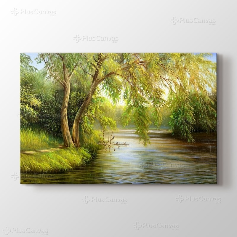 More Water görseli.