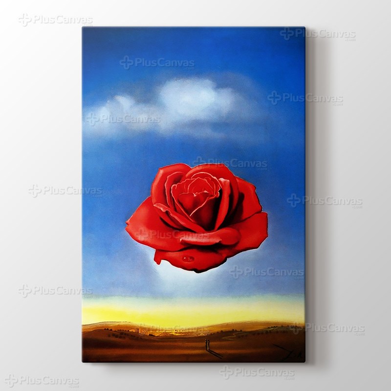 Meditative Rose görseli.