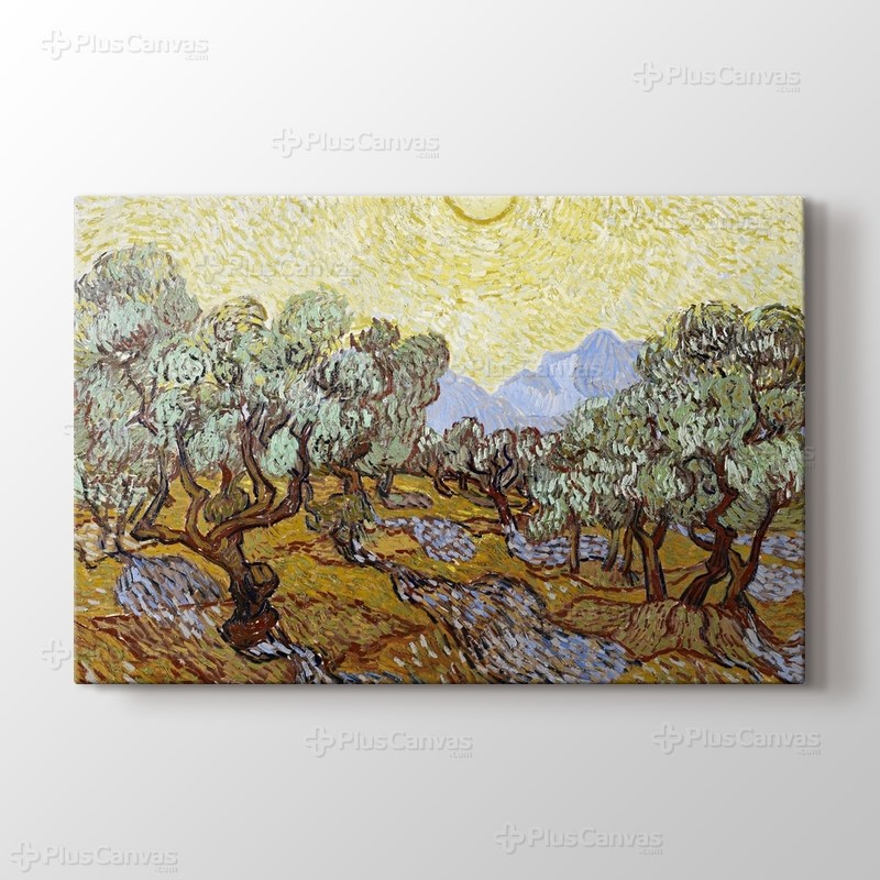 Olive Trees görseli.