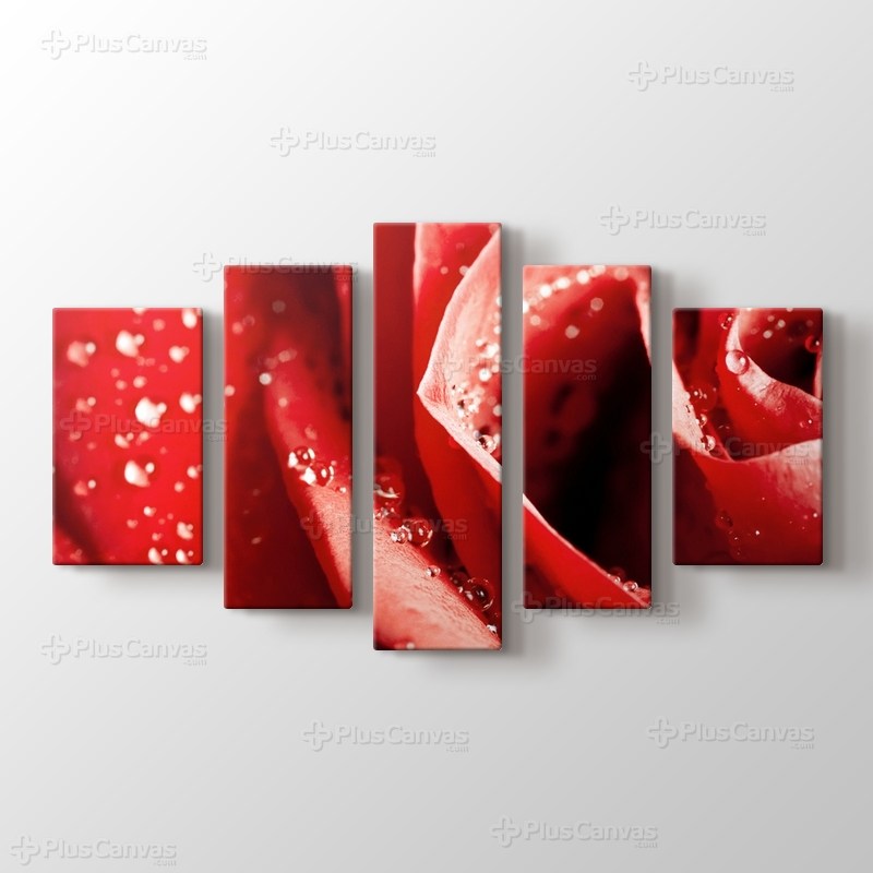 Red Rose Close Up görseli.