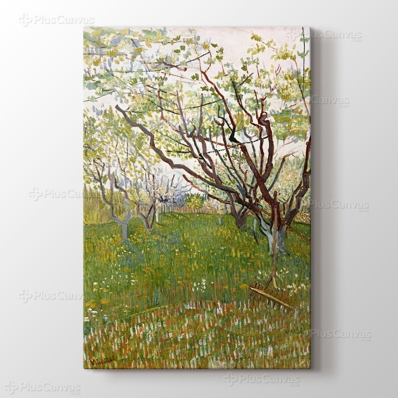 The Flowering Orchard görseli.