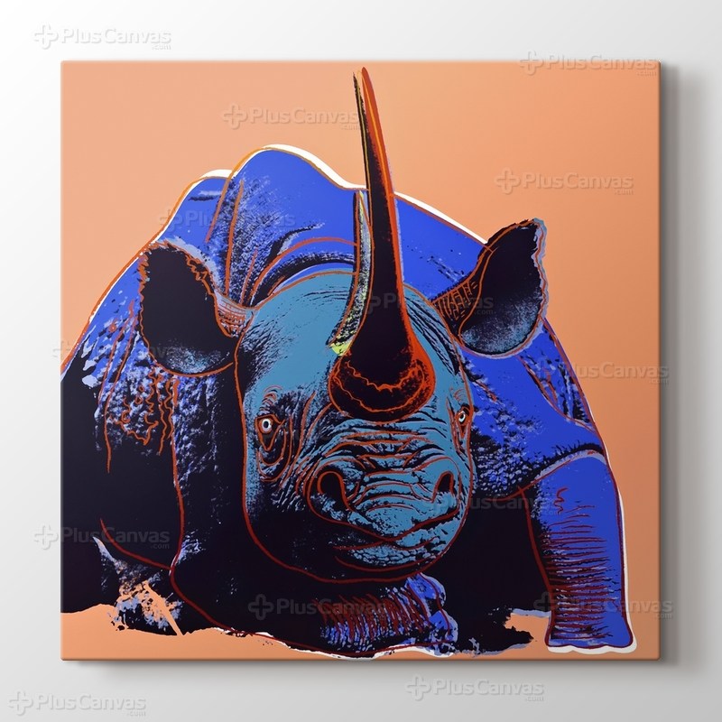 Rhinoceros görseli.