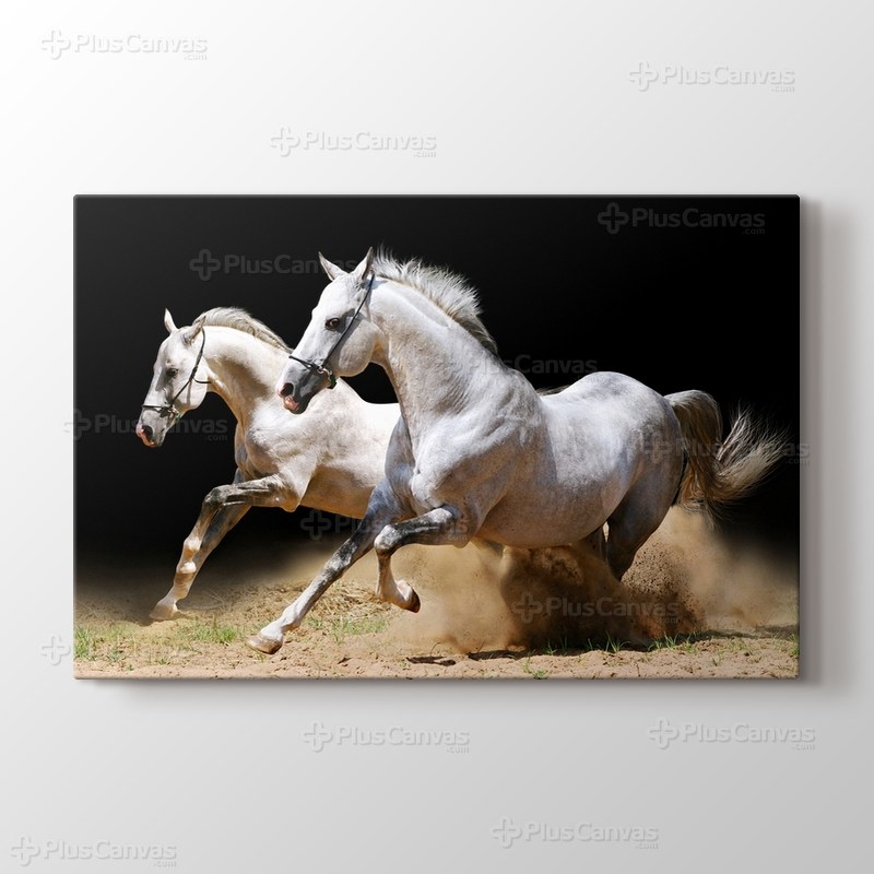 White Horses görseli.