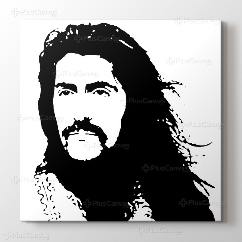 Barış Manço görseli.