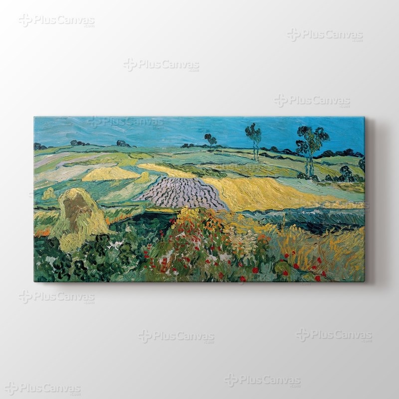 The Plain of Auvers görseli.